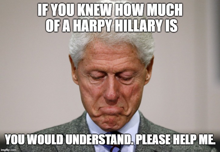 Sad Bill Clinton | IF YOU KNEW HOW MUCH OF A HARPY HILLARY IS YOU WOULD UNDERSTAND. PLEASE HELP ME. | image tagged in sad bill clinton | made w/ Imgflip meme maker