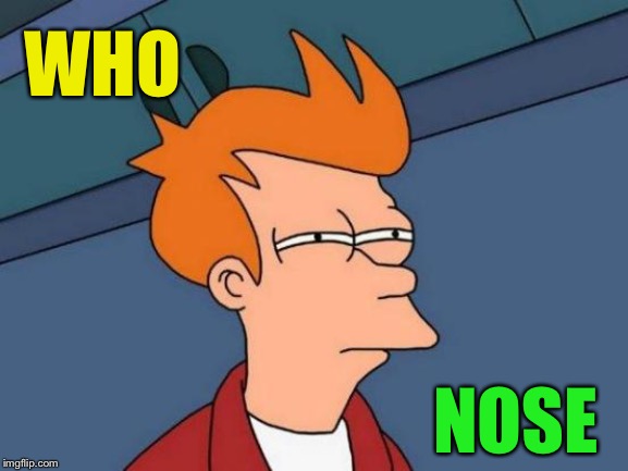 Futurama Fry Meme | WHO NOSE | image tagged in memes,futurama fry | made w/ Imgflip meme maker