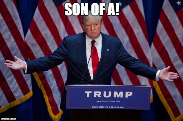 Donald Trump | SON OF A! | image tagged in donald trump | made w/ Imgflip meme maker
