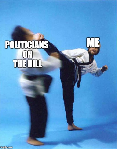 Roundhouse Kick Chuck Norris | ME POLITICIANS ON THE HILL | image tagged in roundhouse kick chuck norris | made w/ Imgflip meme maker