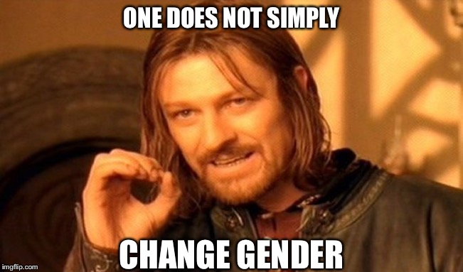 One Does Not Simply | ONE DOES NOT SIMPLY; CHANGE GENDER | image tagged in memes,one does not simply | made w/ Imgflip meme maker
