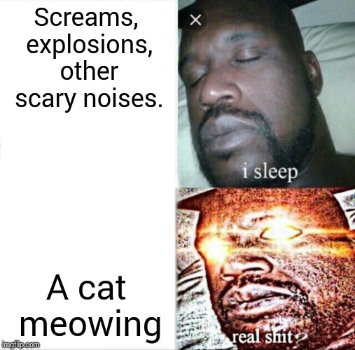 Sleeping Shaq | Screams, explosions, other scary noises. A cat meowing | image tagged in memes,sleeping shaq | made w/ Imgflip meme maker