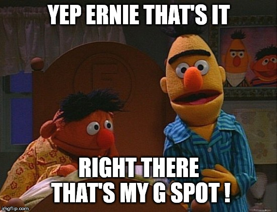 Myth | YEP ERNIE THAT'S IT; RIGHT THERE THAT'S MY G SPOT ! | image tagged in bert and ernie,perfect,yes baby | made w/ Imgflip meme maker