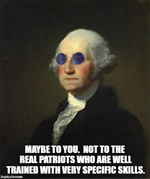 George Washington sunglasses | MAYBE TO YOU.  NOT TO THE REAL PATRIOTS WHO ARE WELL TRAINED WITH VERY SPECIFIC SKILLS. | image tagged in george washington sunglasses | made w/ Imgflip meme maker