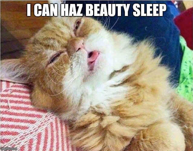 Cat sleepy | I CAN HAZ BEAUTY SLEEP | image tagged in cat sleepy | made w/ Imgflip meme maker