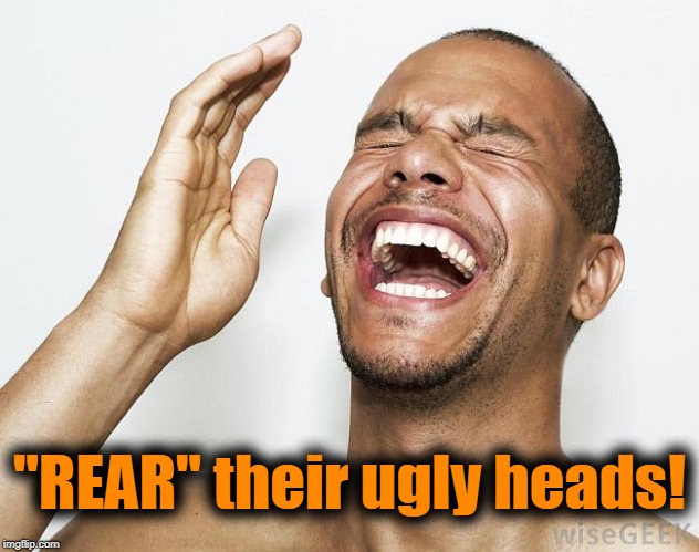 lol | "REAR" their ugly heads! | image tagged in lol | made w/ Imgflip meme maker