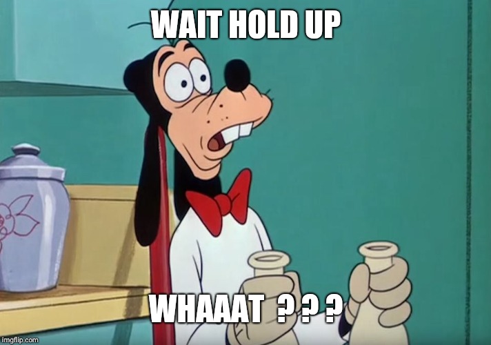 Shocked Goofy | WAIT HOLD UP WHAAAT  ? ? ? | image tagged in shocked goofy | made w/ Imgflip meme maker