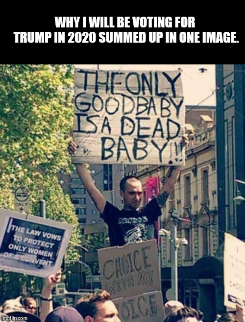 WHY I WILL BE VOTING FOR TRUMP IN 2020 SUMMED UP IN ONE IMAGE. | image tagged in pro-choice extremists,evil,savagery,leftists,anarchists,trump in 2020 | made w/ Imgflip meme maker