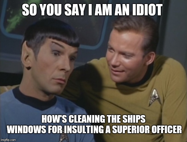 Spock and Kirk | SO YOU SAY I AM AN IDIOT HOW'S CLEANING THE SHIPS WINDOWS FOR INSULTING A SUPERIOR OFFICER | image tagged in spock and kirk | made w/ Imgflip meme maker