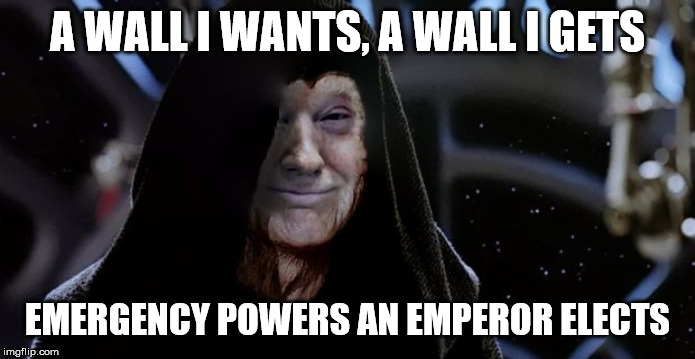 Emperor Trump | A WALL I WANTS, A WALL I GETS EMERGENCY POWERS AN EMPEROR ELECTS | image tagged in emperor trump | made w/ Imgflip meme maker