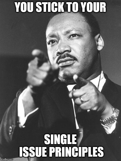 martin Luther King Jr  | YOU STICK TO YOUR SINGLE ISSUE PRINCIPLES | image tagged in martin luther king jr | made w/ Imgflip meme maker