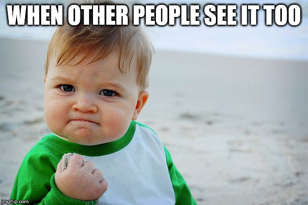 Success Kid / Nailed It Kid | WHEN OTHER PEOPLE SEE IT TOO | image tagged in success kid / nailed it kid | made w/ Imgflip meme maker