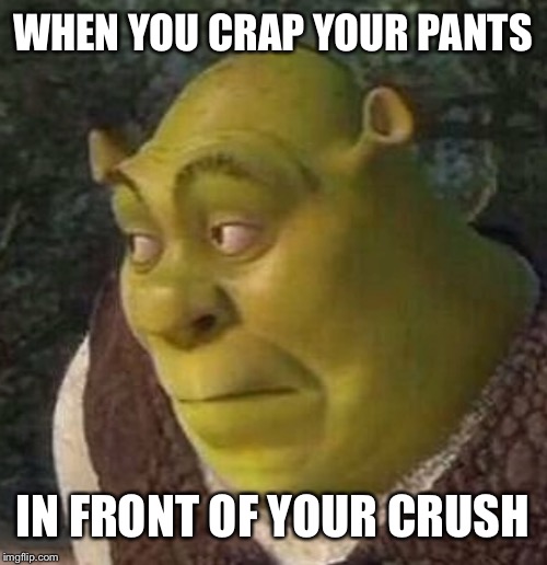 Shrek | WHEN YOU CRAP YOUR PANTS; IN FRONT OF YOUR CRUSH | image tagged in shrek | made w/ Imgflip meme maker