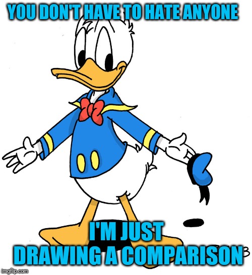 donald duck shrugs | YOU DON'T HAVE TO HATE ANYONE I'M JUST DRAWING A COMPARISON | image tagged in donald duck shrugs | made w/ Imgflip meme maker