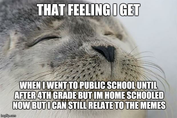 I can still relate | THAT FEELING I GET; WHEN I WENT TO PUBLIC SCHOOL UNTIL AFTER 4TH GRADE BUT IM HOME SCHOOLED NOW BUT I CAN STILL RELATE TO THE MEMES | image tagged in memes,satisfied seal,homeschool,public school,relatable | made w/ Imgflip meme maker