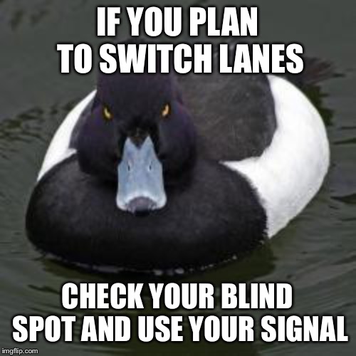 Angry Advice Mallard | IF YOU PLAN TO SWITCH LANES; CHECK YOUR BLIND SPOT AND USE YOUR SIGNAL | image tagged in angry advice mallard,AdviceAnimals | made w/ Imgflip meme maker