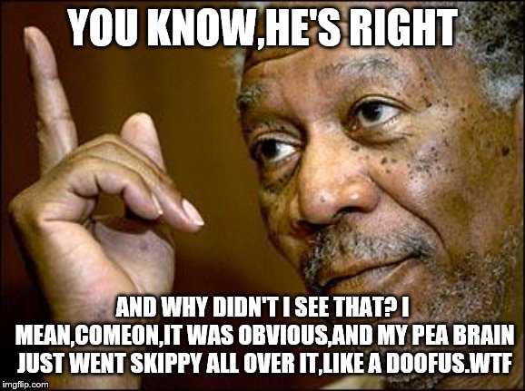 This Morgan Freeman | YOU KNOW,HE'S RIGHT AND WHY DIDN'T I SEE THAT? I MEAN,COMEON,IT WAS OBVIOUS,AND MY PEA BRAIN JUST WENT SKIPPY ALL OVER IT,LIKE A DOOFUS.WTF | image tagged in this morgan freeman | made w/ Imgflip meme maker