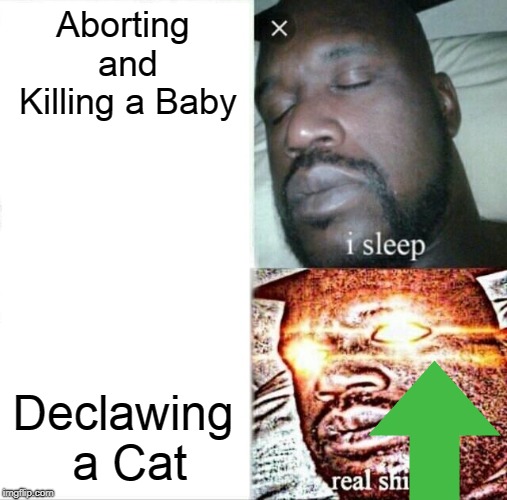 New York in a Nutshell Now  (No Offense) | Aborting and Killing a Baby; Declawing a Cat | image tagged in memes,sleeping shaq | made w/ Imgflip meme maker
