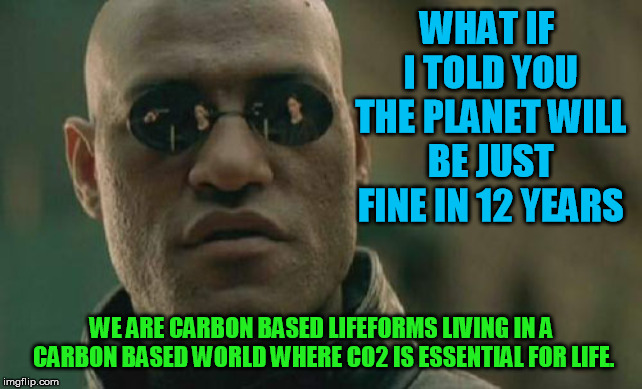So there are really no bad carbs. Just misguided people who think the world should be the same temperature all the time.... | WHAT IF I TOLD YOU THE PLANET WILL BE JUST FINE IN 12 YEARS; WE ARE CARBON BASED LIFEFORMS LIVING IN A CARBON BASED WORLD WHERE CO2 IS ESSENTIAL FOR LIFE. | image tagged in memes,matrix morpheus | made w/ Imgflip meme maker