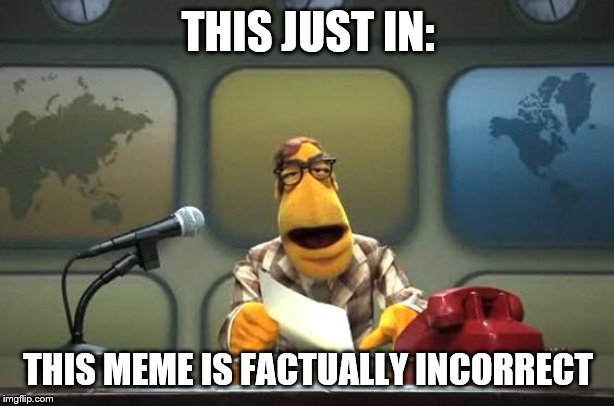 Muppet News Flash | THIS JUST IN: THIS MEME IS FACTUALLY INCORRECT | image tagged in muppet news flash | made w/ Imgflip meme maker