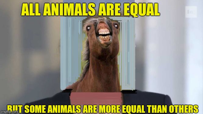 Sandy from the Bronx gets real | ALL ANIMALS ARE EQUAL; BUT SOME ANIMALS ARE MORE EQUAL THAN OTHERS | image tagged in crazy alexandria ocasio-cortez,animal farm,democratic socialism | made w/ Imgflip meme maker