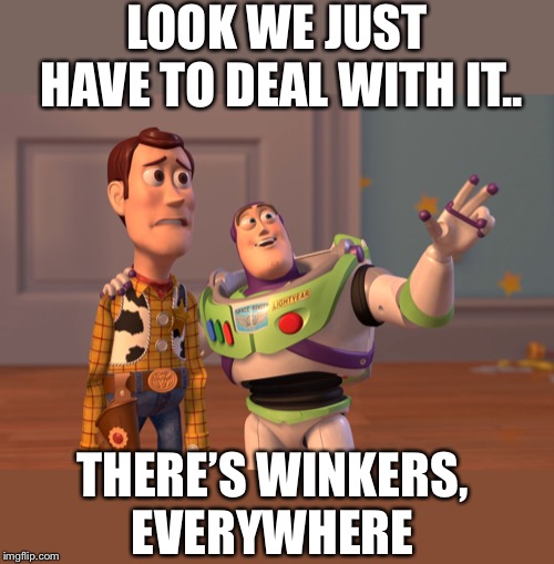 X, X Everywhere Meme | LOOK WE JUST HAVE TO DEAL WITH IT.. THERE’S WINKERS, EVERYWHERE | image tagged in memes,x x everywhere | made w/ Imgflip meme maker