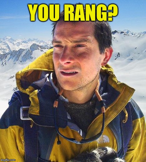 Bear Grylls Meme | YOU RANG? | image tagged in memes,bear grylls | made w/ Imgflip meme maker