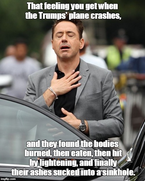 Trumps' plane crashes, heaven on earth! | That feeling you get when the Trumps' plane crashes, and they found the bodies burned, then eaten, then hit by lightening, and finally their ashes sucked into a sinkhole. | image tagged in robert downey jr,trump,donald trump | made w/ Imgflip meme maker