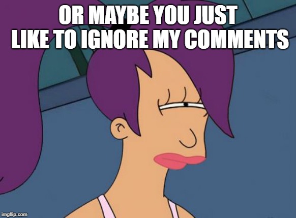 Futurama Leela Meme | OR MAYBE YOU JUST LIKE TO IGNORE MY COMMENTS | image tagged in memes,futurama leela | made w/ Imgflip meme maker