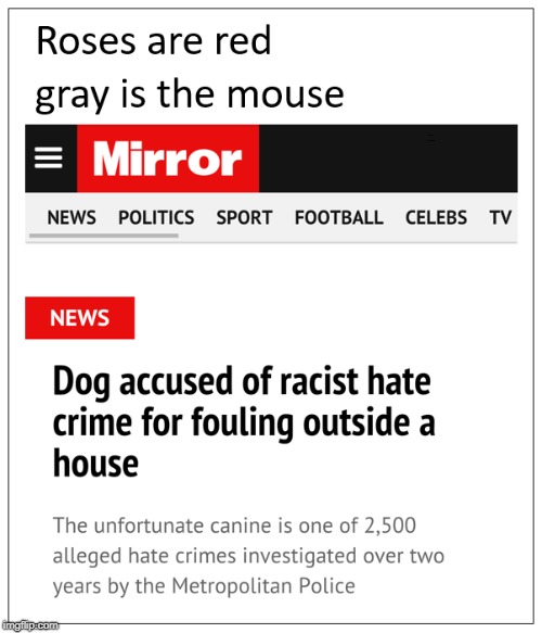Some people want hate crimes to happen so they see them in everything, others just perpetrate them themselves... | Roses are red gray is the mouse | image tagged in hate crime,racist,roses are red,mirror,racism,memes | made w/ Imgflip meme maker