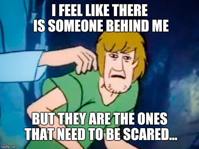 Shaggy meme | I FEEL LIKE THERE IS SOMEONE BEHIND ME; BUT THEY ARE THE ONES THAT NEED TO BE SCARED... | image tagged in shaggy meme | made w/ Imgflip meme maker