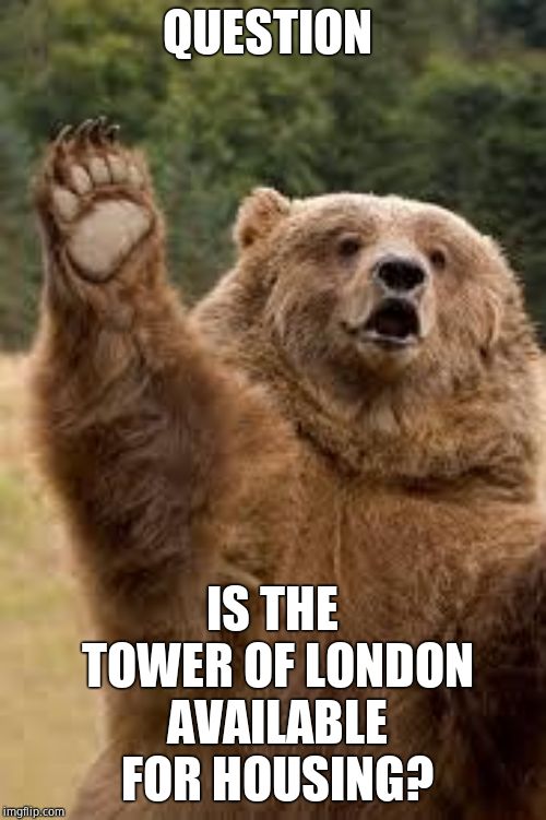 grizzly bear | QUESTION IS THE TOWER OF LONDON AVAILABLE FOR HOUSING? | image tagged in grizzly bear | made w/ Imgflip meme maker