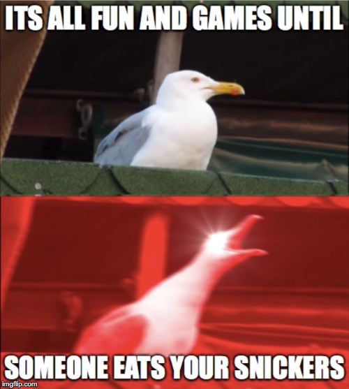 image tagged in memes,inhaling seagull,funny memes,snickers | made w/ Imgflip meme maker