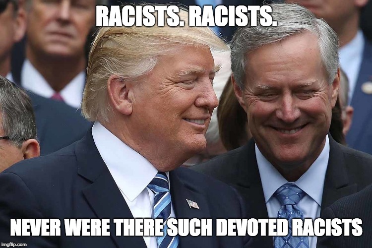 RACISTS. RACISTS. NEVER WERE THERE SUCH DEVOTED RACISTS | image tagged in donald trump,trump,michael cohen | made w/ Imgflip meme maker