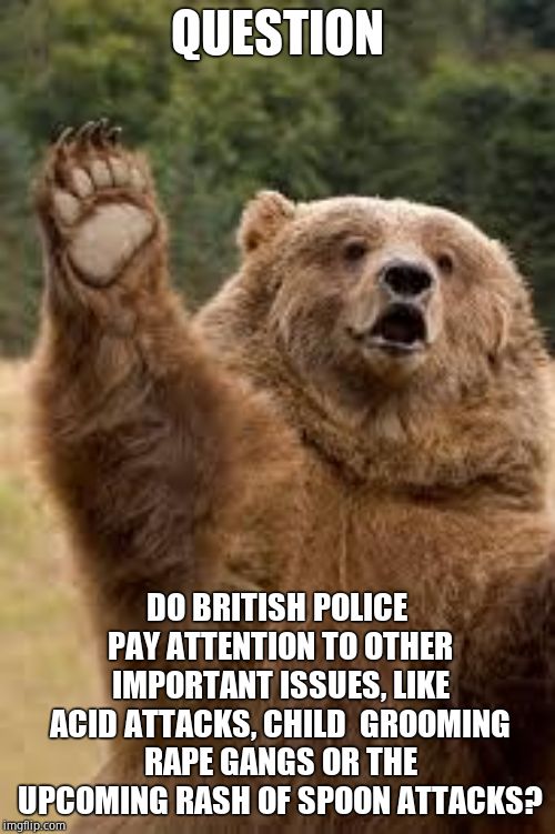 grizzly bear | QUESTION DO BRITISH POLICE PAY ATTENTION TO OTHER IMPORTANT ISSUES, LIKE ACID ATTACKS, CHILD  GROOMING **PE GANGS OR THE UPCOMING RASH OF SP | image tagged in grizzly bear | made w/ Imgflip meme maker