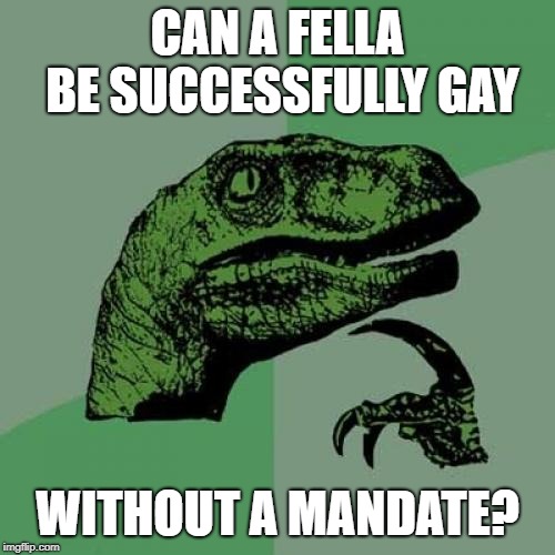 With the proper authority | CAN A FELLA BE SUCCESSFULLY GAY; WITHOUT A MANDATE? | image tagged in memes,philosoraptor,gay,politics,deep thoughts | made w/ Imgflip meme maker