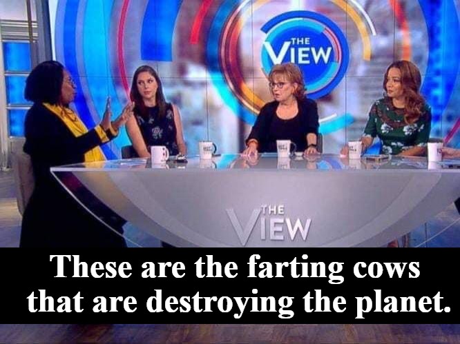 These are the farting cows that are destroying the planet. | These are the farting cows that are destroying the planet. | image tagged in the view,farting cows,flatulence,beano,there will beano more bullshit from you,liberal cows | made w/ Imgflip meme maker