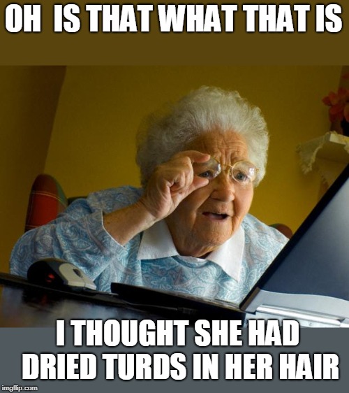 Old lady at computer finds the Internet | OH  IS THAT WHAT THAT IS I THOUGHT SHE HAD DRIED TURDS IN HER HAIR | image tagged in old lady at computer finds the internet | made w/ Imgflip meme maker