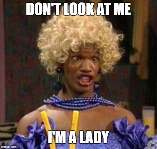 Wanda | DON'T LOOK AT ME I'M A LADY | image tagged in wanda | made w/ Imgflip meme maker
