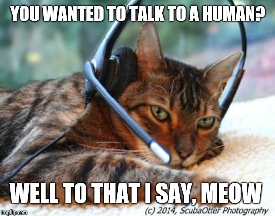 Bored Customer Service Cat | YOU WANTED TO TALK TO A HUMAN? WELL TO THAT I SAY, MEOW | image tagged in bored customer service cat | made w/ Imgflip meme maker