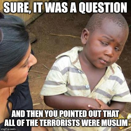 Third World Skeptical Kid Meme | SURE, IT WAS A QUESTION AND THEN YOU POINTED OUT THAT ALL OF THE TERRORISTS WERE MUSLIM | image tagged in memes,third world skeptical kid | made w/ Imgflip meme maker