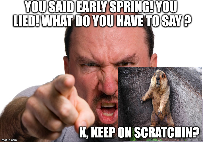 spring joke | YOU SAID EARLY SPRING! YOU LIED! WHAT DO YOU HAVE TO SAY ? K, KEEP ON SCRATCHIN? | image tagged in groundhog | made w/ Imgflip meme maker