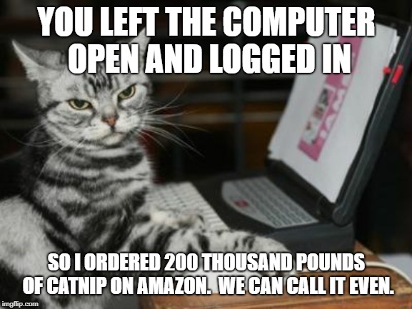 Cat computer ordered Amazon | YOU LEFT THE COMPUTER OPEN AND LOGGED IN; SO I ORDERED 200 THOUSAND POUNDS OF CATNIP ON AMAZON.  WE CAN CALL IT EVEN. | image tagged in cat computer,cats,cat | made w/ Imgflip meme maker