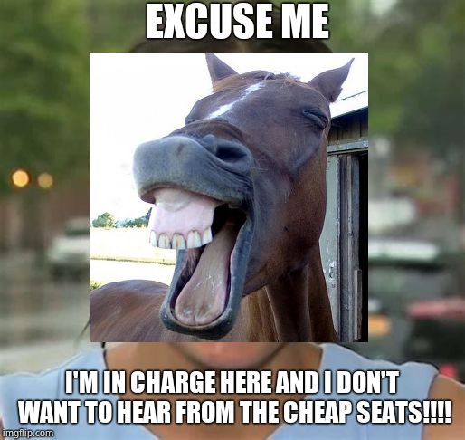 EXCUSE ME I'M IN CHARGE HERE AND I DON'T WANT TO HEAR FROM THE CHEAP SEATS!!!! | made w/ Imgflip meme maker