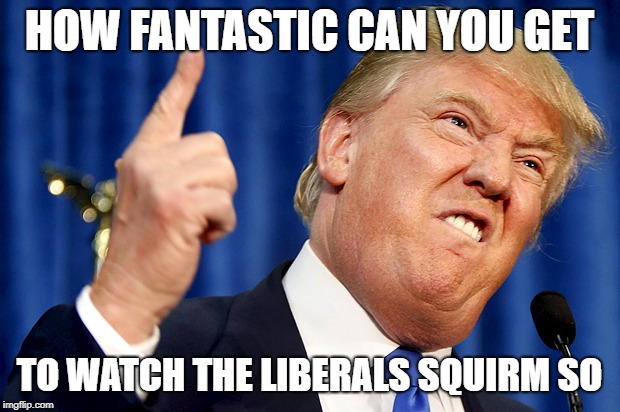 Donald Trump | HOW FANTASTIC CAN YOU GET; TO WATCH THE LIBERALS SQUIRM SO | image tagged in donald trump | made w/ Imgflip meme maker