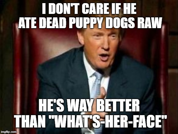 Donald Trump | I DON'T CARE IF HE ATE DEAD PUPPY DOGS RAW; HE'S WAY BETTER THAN "WHAT'S-HER-FACE" | image tagged in donald trump | made w/ Imgflip meme maker
