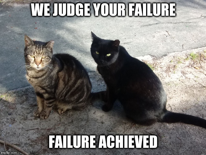 WE JUDGE YOUR FAILURE; FAILURE ACHIEVED | image tagged in meh | made w/ Imgflip meme maker