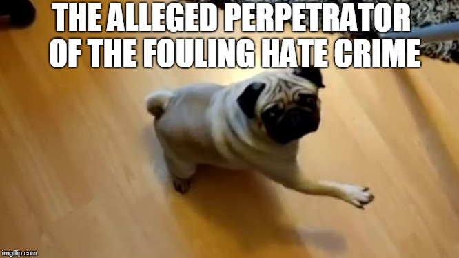 THE ALLEGED PERPETRATOR OF THE FOULING HATE CRIME | made w/ Imgflip meme maker