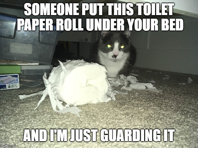 SOMEONE PUT THIS TOILET PAPER ROLL UNDER YOUR BED AND I'M JUST GUARDING IT | made w/ Imgflip meme maker