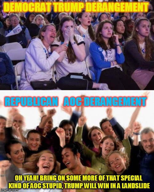 Can I get more AOC? | DEMOCRAT TRUMP DERANGEMENT; REPUBLICAN   AOC DERANGEMENT; OH YEAH! BRING ON SOME MORE OF THAT SPECIAL KIND OF AOC STUPID, TRUMP WILL WIN IN A LANDSLIDE | image tagged in cheering crowd,snowflakes | made w/ Imgflip meme maker